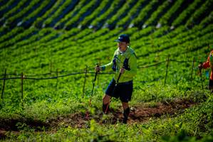 BIB: 
                            <button type="button" onclick="openModal(19160873)" class="btn btn-primary btn-sm float-right btn-popup" data-toggle="modal" data-target=".modal-high-quality">
                        <i class="fas fa-shopping-cart"></i> Add to Cart
                    </button>
                                            <button type="button" onclick="isThisMe(19160873, true)" class="btn btn-success btn-sm float-right btn-popup btn-isme hidden" data-toggle="tooltip" data-placement="bottom" title="นี่คือรูปของคุณใช่ไหม คลิกที่นี่เพื่อเอาเข้าอัลบั้ม">
                        <i class="fas fa-plus"></i> Add to album
                    </button>
                    <button type="button" onclick="isThisMe(19160873, false)" class="btn btn-warning btn-sm float-right btn-popup btn-isnotme hidden">
                        <i class="fas fa-ban"></i> Remove from album
                    </button>